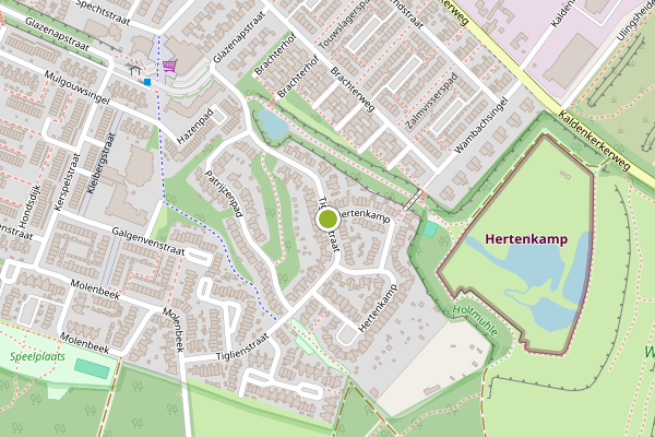Ambulance-melding op Tiglienstraat, Tegelen op 3 augustus, kaart-overzicht
